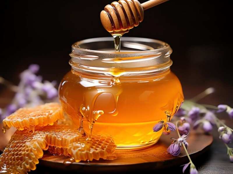 Honey Benefits: सर्दियों में 1 चम्मच शहद खाने से शरीर को मिलते हैं 5 जादुई फायदे