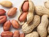 Peanuts Benefits: सर्दियों में रोज खाएं 'गरीबों की बादाम', आसपास नहीं फटकेंगी ये बीमारियां!