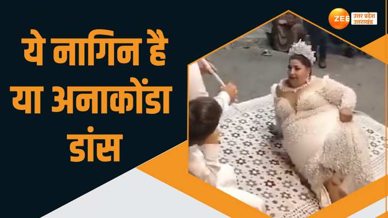 Viral Video: नागिन डांस के क्रेज के बाद अब अनाकोंडा डांस...वीडियो देख उड़ जाएंगे होश Viral Video: नागिन डांस के क्रेज के बाद अब अनाकोंडा डांस...वीडियो देख उड़ जाएंगे होश