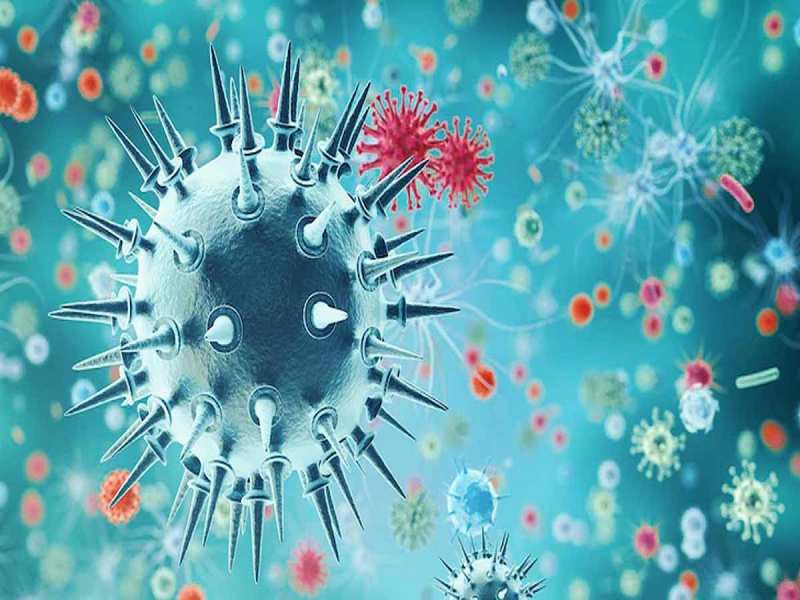स्वाइन फ्लू के H1N2 स्ट्रेन ने बढ़ाई चिंता; इंसान में भी फैला, जानें- इस वायरस के लक्षण