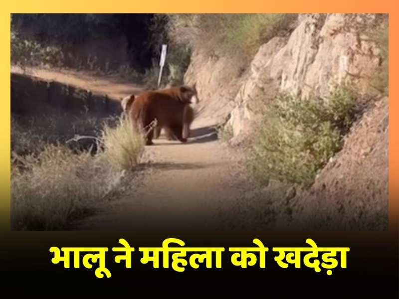 Bear Video Viral: सैर पर निकली महिला को भालू ने खदेड़ा, वीडियो हुआ वायरल