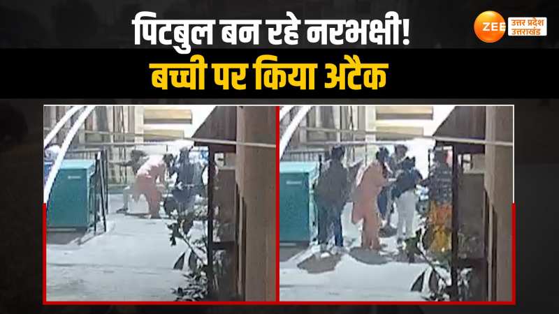 Meerut News: खूंखार पिटबुल ने 11 साल की बच्ची को बुरी तरह जख्मी किया, सामने आया दिल दहला देने वाला वीडियो Meerut News: खूंखार पिटबुल ने 11 साल की बच्ची को बुरी तरह जख्मी किया, सामने आया दिल दहला देने वाला वीडियो