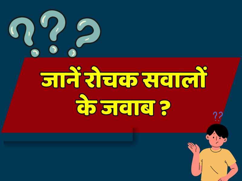 GK Questions: अगर नीले रंग की नदी में लाल रंग का पत्थर फेंका जाए तो क्या होगा? जानें रोचक सवालों के जवाब GK Questions: अगर नीले रंग की नदी में लाल रंग का पत्थर फेंका जाए तो क्या होगा? जानें रोचक सवालों के जवाब