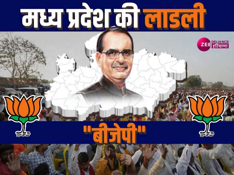 Mp Election Result 2023: मध्य प्रदेश में बीजेपी बहुमत की ओर, देखें जश्न का वीडियो Mp Election Result 2023: मध्य प्रदेश में बीजेपी बहुमत की ओर, देखें जश्न का वीडियो