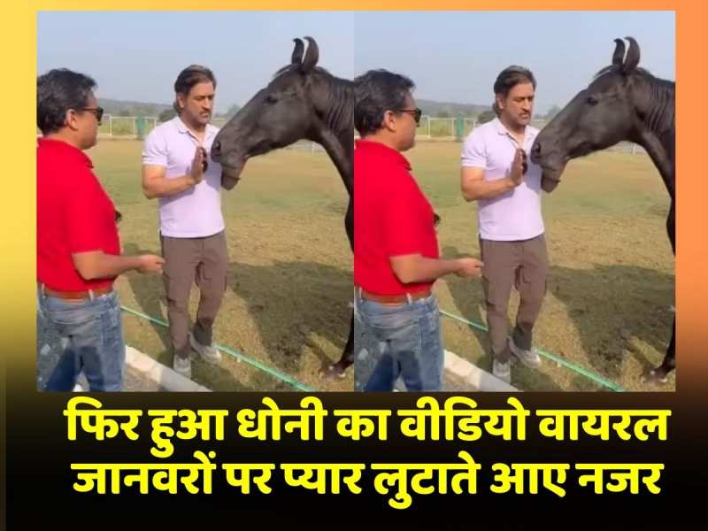 Mahendra Singh Dhoni का दिखा जानवरों के लिए प्यार, Video हुआ Viral Mahendra Singh Dhoni का दिखा जानवरों के लिए प्यार, Video हुआ Viral