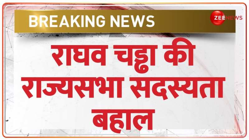 Raghav Chadha News: AAP सांसद राघव चड्ढा की राज्यसभा सदस्यता हुई बहाल | Breaking Raghav Chadha News: AAP सांसद राघव चड्ढा की राज्यसभा सदस्यता हुई बहाल | Breaking