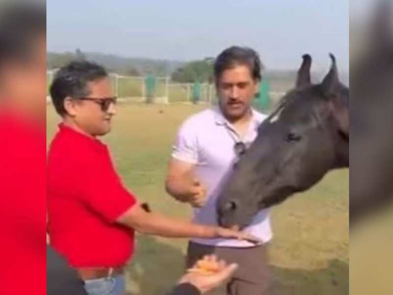 Dhoni: जानवरों के लिए दिखा महेंद्र सिंह धोनी का प्यार, सोशल मीडिया पर वायरल हुआ वीडियो Dhoni: जानवरों के लिए दिखा महेंद्र सिंह धोनी का प्यार, सोशल मीडिया पर वायरल हुआ वीडियो