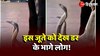 Shoes Viral Video: हे प्रभु! शख्स ने पहना किंग कोबरा वाले जूते, लोगों की हुई 