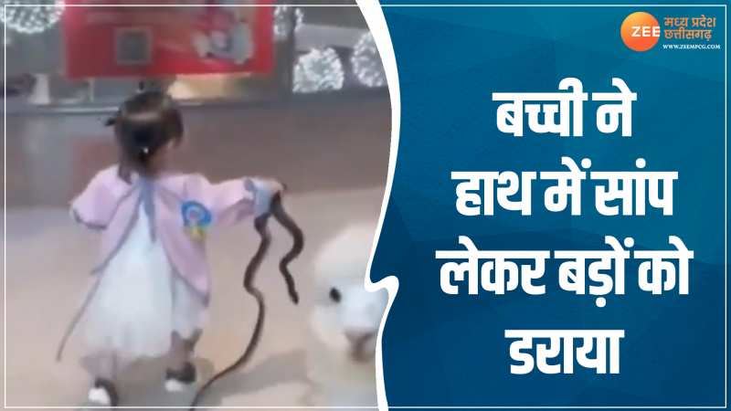 Viral Video: नन्ही बच्ची हाथ में सांप लेकर बड़ों को डराती नजर आई, पब्लिक हुई हैरान Viral Video: नन्ही बच्ची हाथ में सांप लेकर बड़ों को डराती नजर आई, पब्लिक हुई हैरान