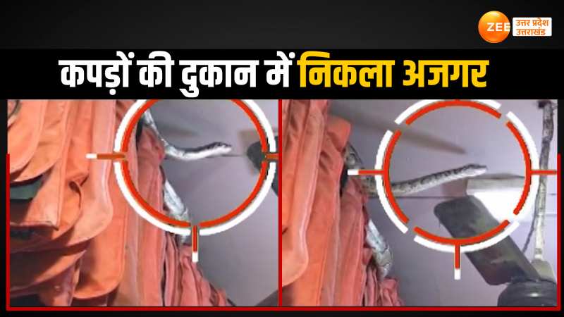 Viral Video: कपड़े की दुकान में निकला 14 फीट लंबा अजगर, मची अफरा- तफरी Viral Video: कपड़े की दुकान में निकला 14 फीट लंबा अजगर, मची अफरा- तफरी