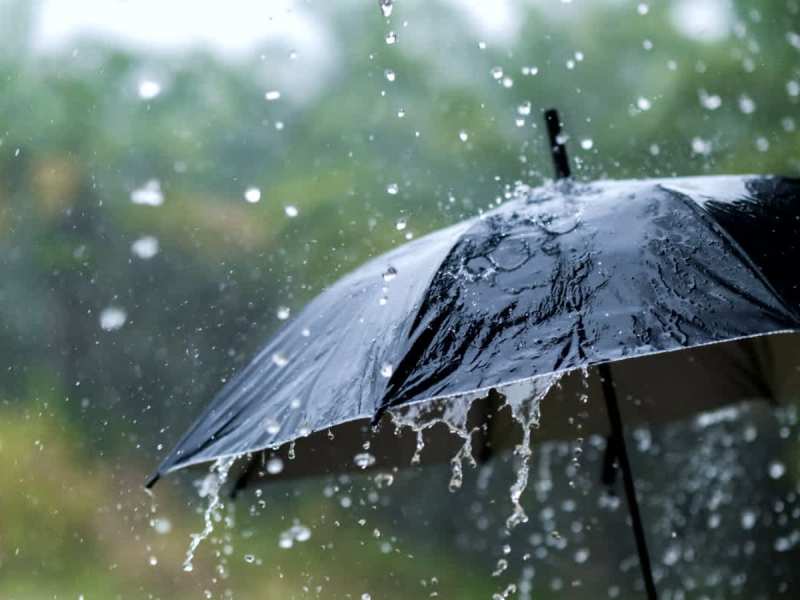 MP Weather Update Cold and rain wreak havoc in Madhya Pradesh  Meteorological Department issued alert-MP Weather Update: मध्यप्रदेश में  ठंड और बारिश का कहर, मौसम विभाग ने जारी किया अलर्ट, आने वाले