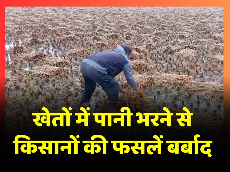 बोकारो में मिचोंग तूफान का असर, खेतों में पानी भरने से किसानों की फसलें बर्बाद बोकारो में मिचोंग तूफान का असर, खेतों में पानी भरने से किसानों की फसलें बर्बाद