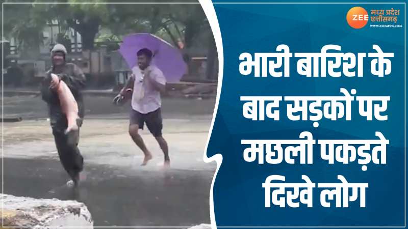 Viral Video: आपदा में ढूंढ लिया अवसर! चेन्नई में भारी बारिश के बाद लोग सड़कों पर मछली पकड़ते दिखे Viral Video: आपदा में ढूंढ लिया अवसर! चेन्नई में भारी बारिश के बाद लोग सड़कों पर मछली पकड़ते दिखे