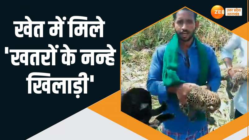 Viral Video: फसल काटने खेत पहुंचे ग्रामीण रह गए हैरान, वन विभाग की टीम को मिले खूबसूरत तोहफे Viral Video: फसल काटने खेत पहुंचे ग्रामीण रह गए हैरान, वन विभाग की टीम को मिले खूबसूरत तोहफे