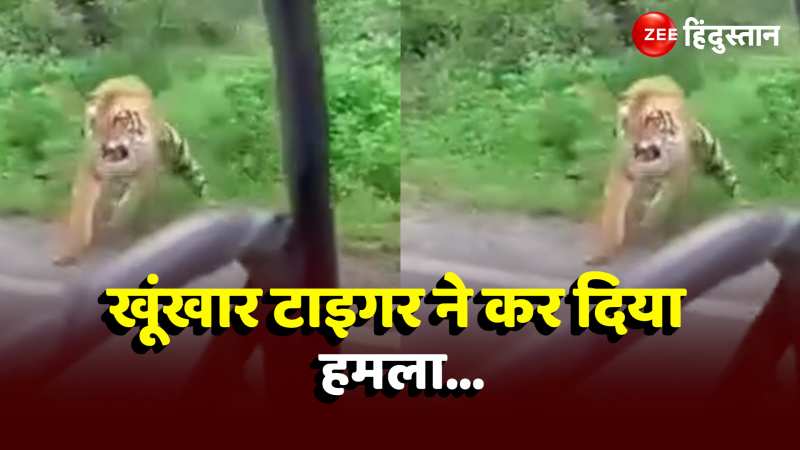 Viral Video: कार में मजे से घूम रहे थे लोग, अचानक खूंखार Tiger ने कर दी सबकी