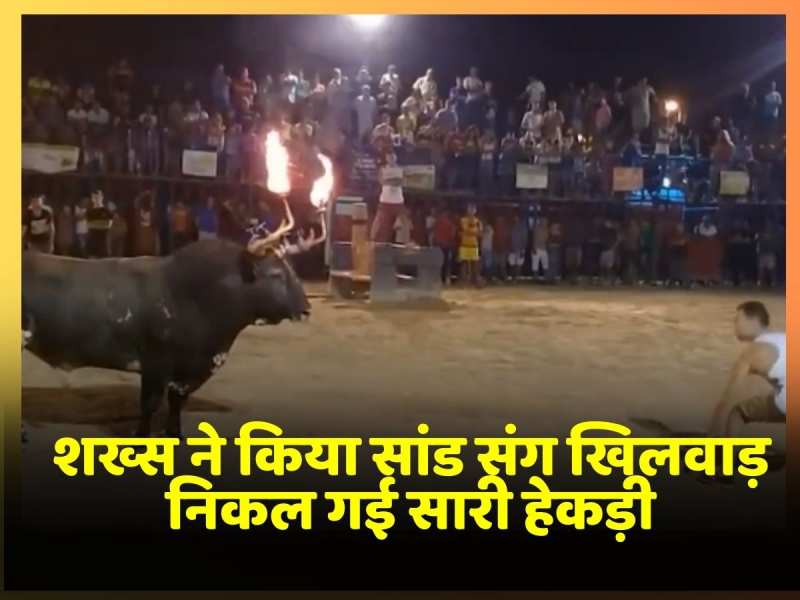 Viral Video: शख्स ने किया सांड संग खिलवाड़, गुस्साए जानवर ने पल भर में निकाल दी हेकड़ी Viral Video: शख्स ने किया सांड संग खिलवाड़, गुस्साए जानवर ने पल भर में निकाल दी हेकड़ी