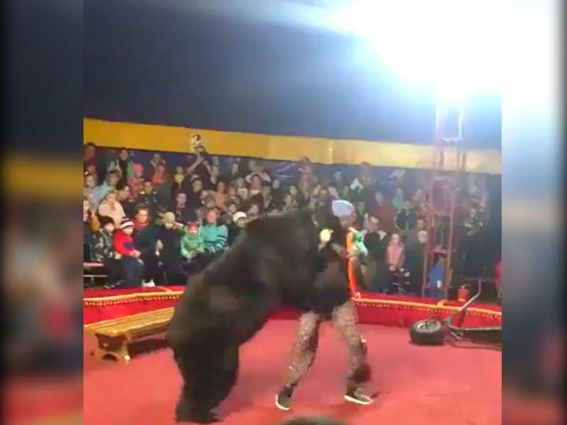 Animal Video: ट्रेनर की हरकत देख आग बबूला हुआ भालू, सर्कस के दौरान गुस्साए भालू ने किया हमला Animal Video: ट्रेनर की हरकत देख आग बबूला हुआ भालू, सर्कस के दौरान गुस्साए भालू ने किया हमला