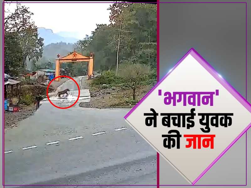 Animal video: मौत की तरफ बढ़ रहे युवक को अचानक सुनी पीछे से आवाज और बच गई जान Animal video: मौत की तरफ बढ़ रहे युवक को अचानक सुनी पीछे से आवाज और बच गई जान