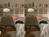 Optical illusion (Credit- Twitter)