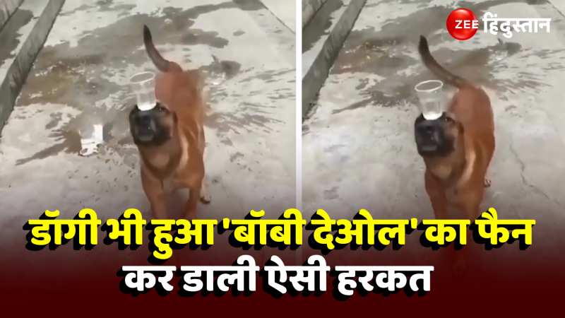 Dog Acting Bobby Deol:  ये क्या? कुत्ते को भी पसंद आ गया बॉबी देओल का अंदाज