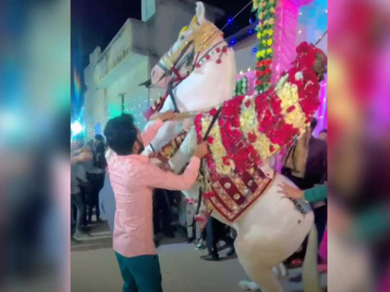 Viral Video: बारात में घोड़े को आया गुस्सा, बेचारे दुल्हे की हो गई हालात खराब Viral Video: बारात में घोड़े को आया गुस्सा, बेचारे दुल्हे की हो गई हालात खराब