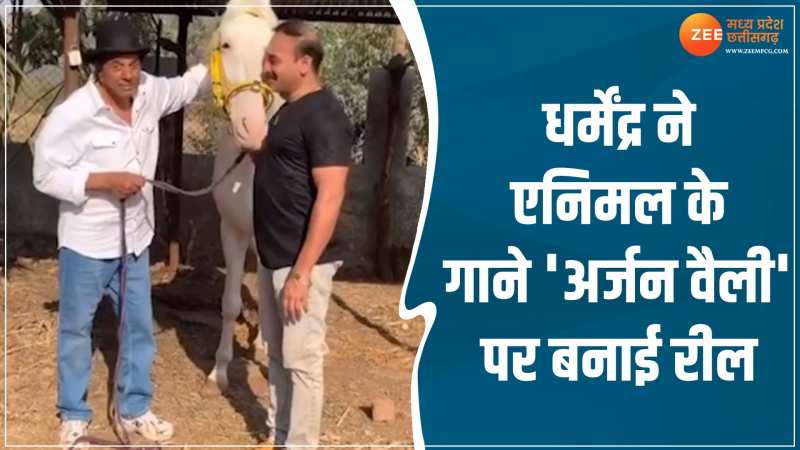 Dharmendra Reel: एनिमल के गाने 'अर्जन वैली' पर धर्मेंद्र ने बनाई रील! घोड़े के साथ आए नजर Dharmendra Reel: एनिमल के गाने 'अर्जन वैली' पर धर्मेंद्र ने बनाई रील! घोड़े के साथ आए नजर