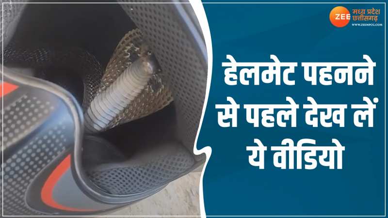 Cobra Video: हेलमेट में घुसकर बैठा जहरीला सांप, देखिए फिर क्या हुआ Cobra Video: हेलमेट में घुसकर बैठा जहरीला सांप, देखिए फिर क्या हुआ