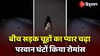 Rats Romance Viral Video: बीच सड़क चूहों घंटों किया रोमांस, प्यार में पागल