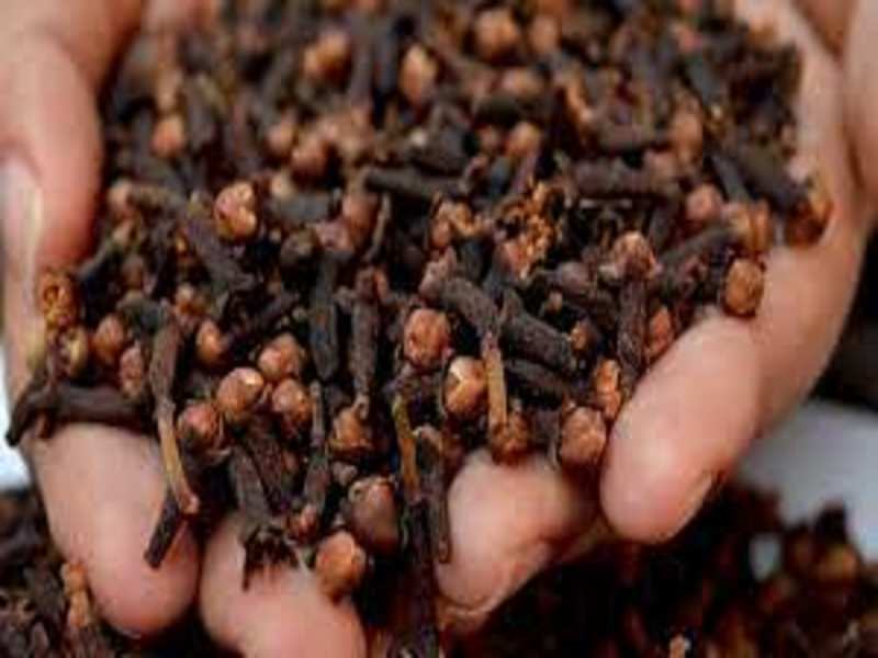 Benefits Of Clove: रोजना चबाएं चबाएं एक छोटी सी लौंग, मिलेगा आश्चर्यजनक लाभ