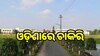 Job Opportunity: ଜାତୀୟ ଧାନ ଗବେଷଣା କେନ୍ଦ୍ରରେ ବାହାରିଲା ଚାକିରି, ଜାଣନ୍ତୁ କ’ଣ ରହିଛି ସିଲେକ୍ସନ ପ୍ରକ୍ରିୟା...