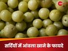 Amla Health Benefits: सर्दियों में रोज इस वक्त खाएं 1 आंवला, दूर हो जाएंगी ये 5 बीमारियां