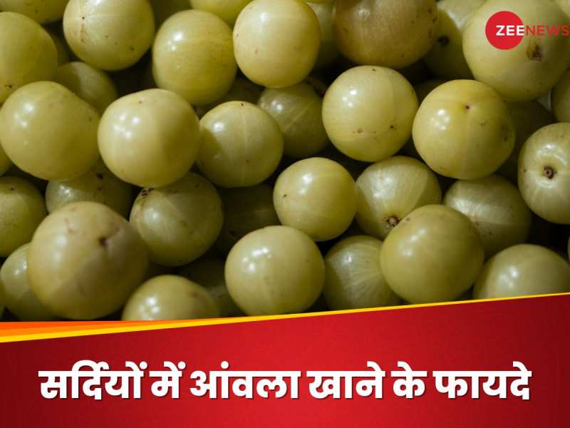 Amla Benefits: सर्दियों में रोज इस वक्त खाएं 1 आंवला, दूर हो जाएंगी ये 5 बीमारियां