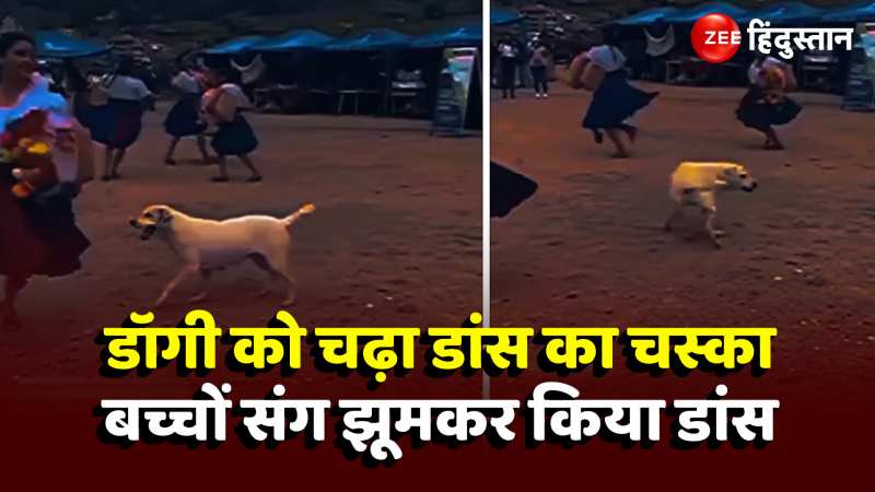 Dog Viral Dance: डॉगी को चढ़ा डांस का चस्का, जमकर मिलाया ताल से ताल