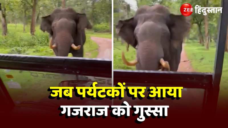 Elephant Attack Tourist Car: जब पर्यटकों की गाड़ी को गुस्साए हाथी ने 