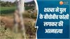 विदिशा से चौंकाने वाला मामला! शख्स ने पुल के बीचोबीच फांसी लगाकर की  आत्महत्या 