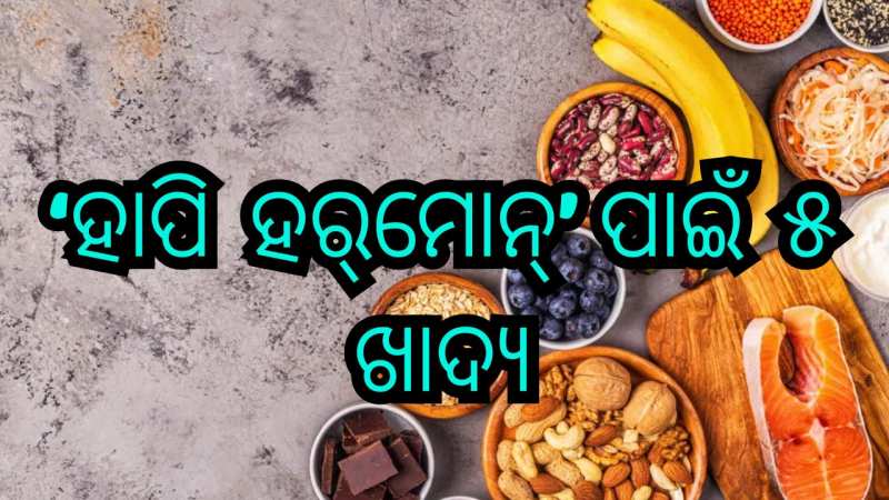 Health Tips: ସବୁବେଳେ ଚାପଗ୍ରସ୍ତ ରହୁଛନ୍ତି କି? ତାହାଲେ ଖାଆନ୍ତୁ ଏହିସବୁ ଖାଦ୍ୟ