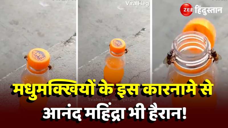  Bees Open Bottle: दो मधुमक्खियों ने मिलकर खोली फैंटा की बॉटल