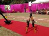 सरहद पर राष्ट्र की सेवा में जुटा SSB, 24 घंटे कर रहा बॉर्डर की निगरानी