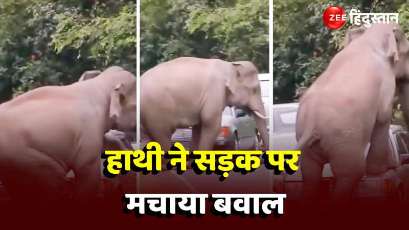 Viral Video: सड़क पर बेकाबू हुए गजराज ने मचाया बवाल, कार की बोनट 