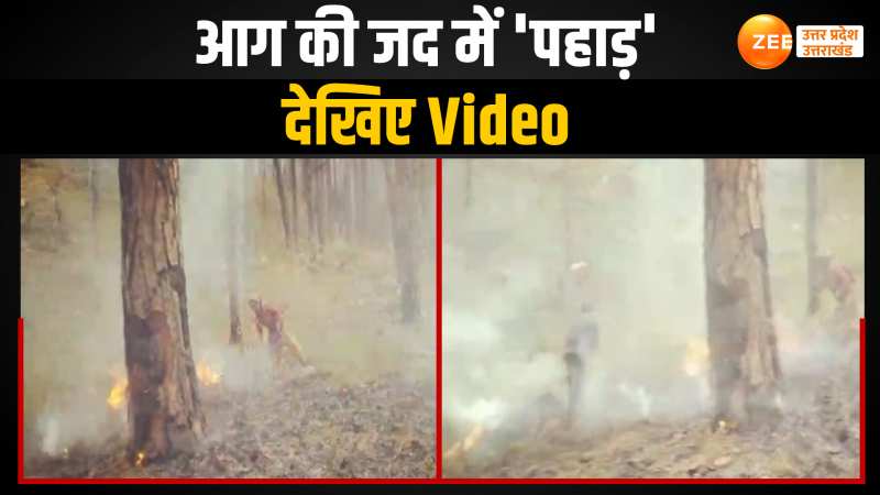 उत्तरकाशी के जंगलों में लगी आग बड़े इलाके में फैली, भयावह Video आया सामने