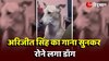 Dog Viral Video: Arijit Singh का Sad Song सुनकर भावुक हुआ डॉग, फूट फूटकर लगा 'रोने'