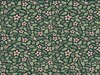 Optical Illusion Challenge