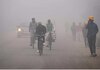 Weather Update: दिल्ली में कड़ाके की ठंड, कोहरा भी नहीं हुआ कम, घर से निकलने से पहले पढ़ें मौसम अपडेट