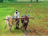 Pm Kisan Yojana को लेकर बड़ा अपडेट!  इन किसानों की रुक सकती है 16वीं किस्त, तुरंत करें ये काम