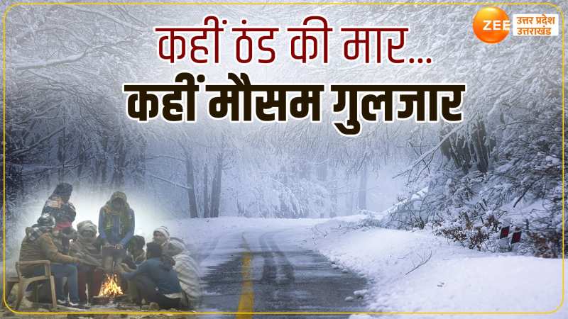 Weather Update: पहाड़ों पर बर्फबारी...मैदानों में ठंड भारी 