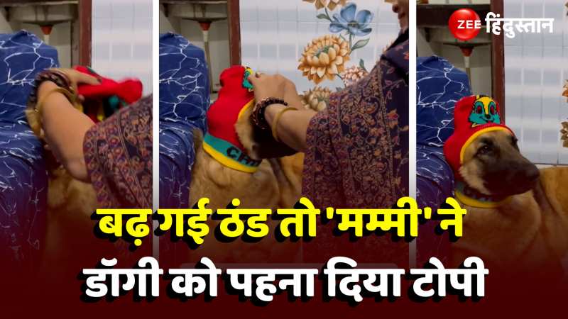 Viral Video: बढ़ गई ठंड तो 'मम्मी' ने डॉगी को पहना दिया टोपी, वीडियो देख 