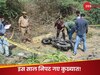 Year Ender 2023: किसी को पुलिस ने निपटाया, कोई गैंगवार में मारा गया; इस साल परलोक सिधार गए देश के ये कुख्यात गैंगस्टर्स