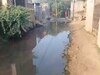 Palwal News: सुनो सरकार! सांसद के गोद लिए गांव में मूलभूत सुविधाओं की दरकार, चारों तरफ फैला गंदगी का अंबार