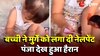  Cute  Girl Viral Video: मुर्गे का पंजा पकड़ लगाा डाली नेलपेंट, बच्ची की मासूमियत