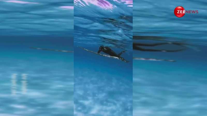 पानी के अंदर पहली बार नजर आया समुद्री स्नेक, वीडियो हुआ वायरल 